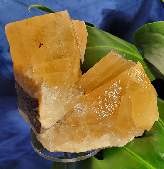 Stunning and Unique Dogtooth Calcite Specimen from Morocco - Crystal Collectors piece - Home Decor - Gift idea - Gorgeously Golden - 3.3lbs
