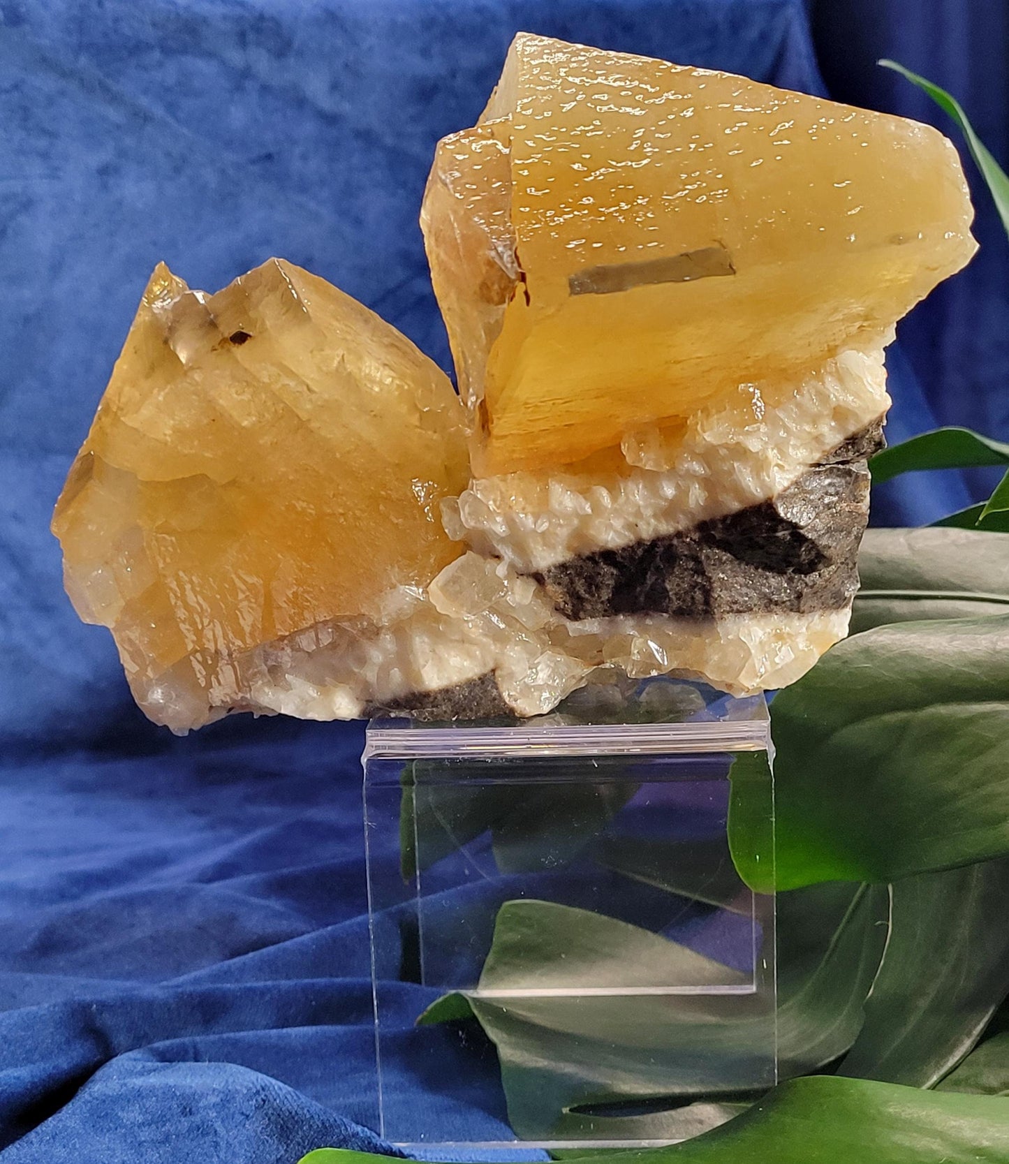 Stunning and Unique Dogtooth Calcite Specimen from Morocco - Crystal Collectors piece - Home Decor - Gift idea - Gorgeously Golden - 3.3lbs