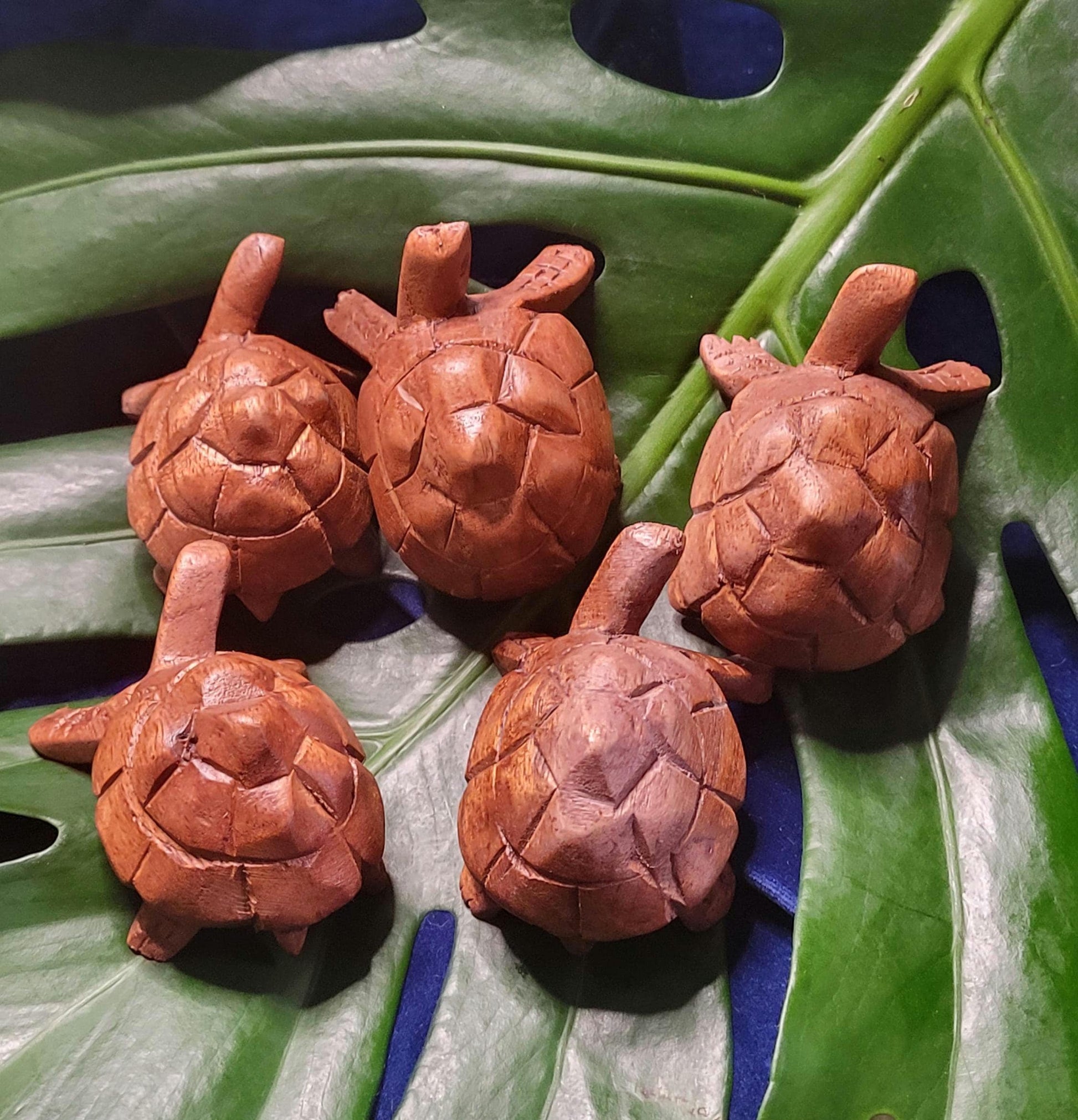 Wooden hand carved turtles | Your Pick | 3 inches | Birthday Anniversary Christmas Gift Ideas | Home Decor | Turtle Lovers