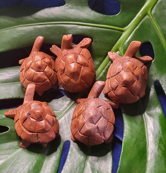 Wooden hand carved turtles | Your Pick | 3 inches | Birthday Anniversary Christmas Gift Ideas | Home Decor | Turtle Lovers