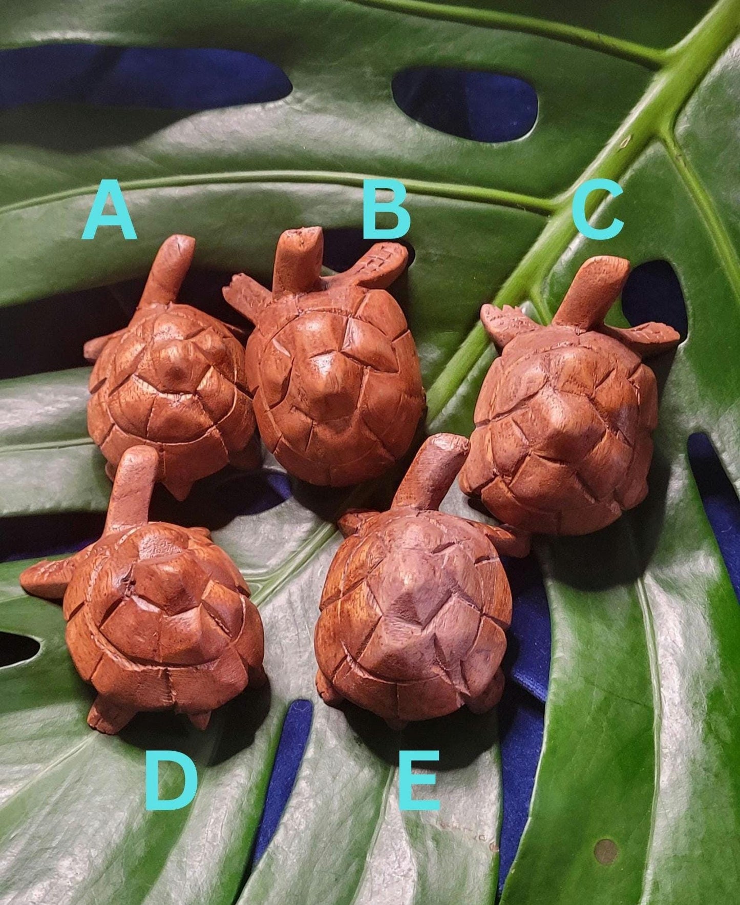 Wooden hand carved turtles | Your Pick | 3 inches | Birthday Anniversary Christmas Gift Ideas | Home Decor | Turtle Lovers