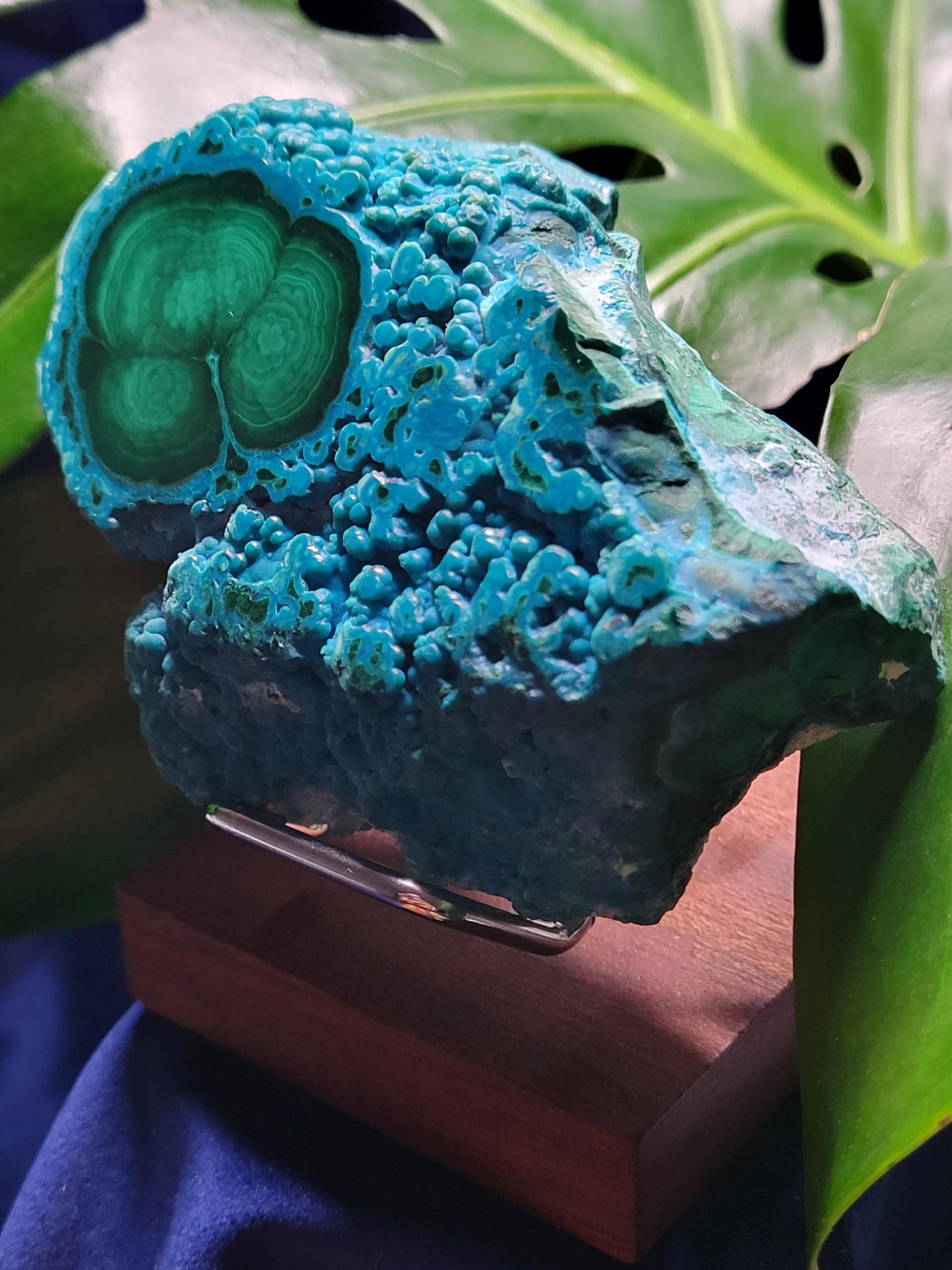 Malachite and Chrysocolla Specimen| Crystal Collector Piece|Birthday Christmas Gift Ideas|Strength and Abundance Energy|Green and Blue| 392g