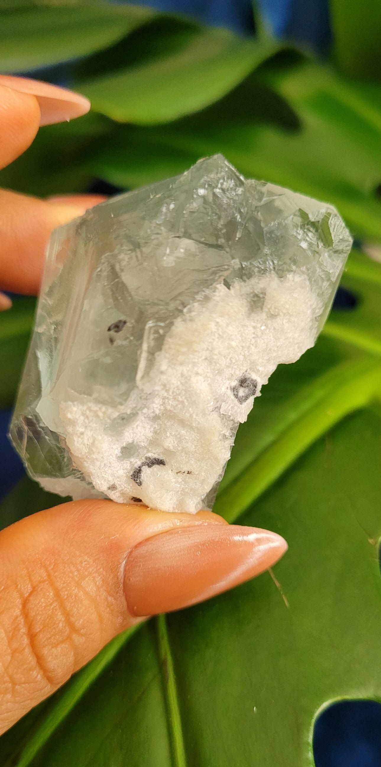 Beautiful Gemmy Blue Green Fluorite Cube | Crystal Collector | Home Decor | Gift Ideas for you | Genius Stone | High Grade Green Blue | 79g