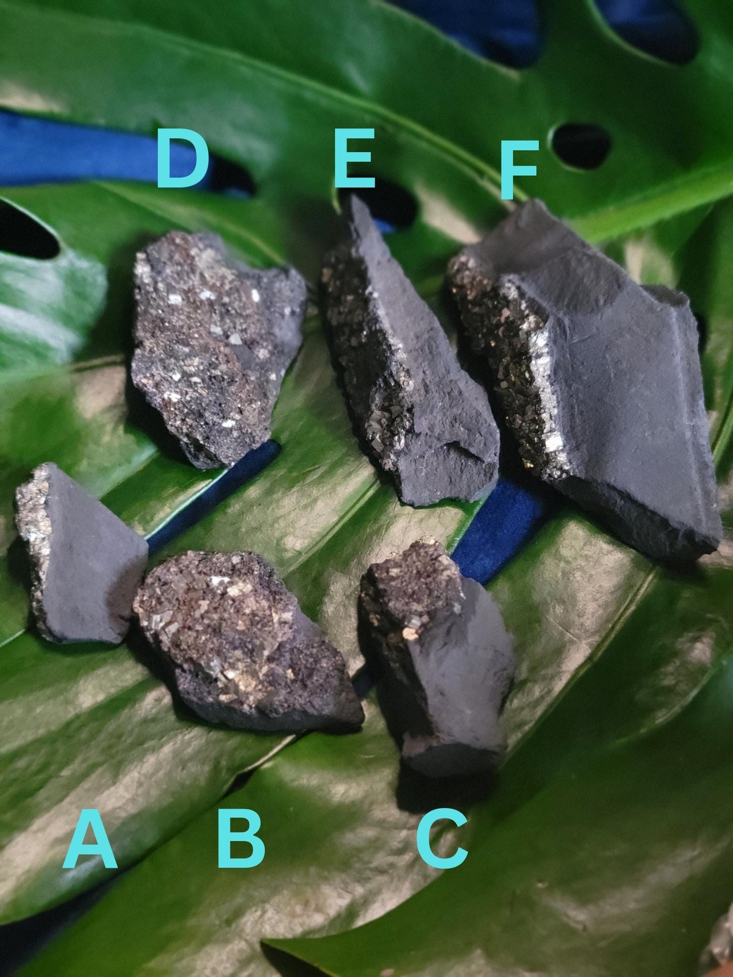 Raw Shungite with Pyrite from Russia|Your Pick|Crystal Collector|The Miracle Stone|Black and Gold|Gift ideas