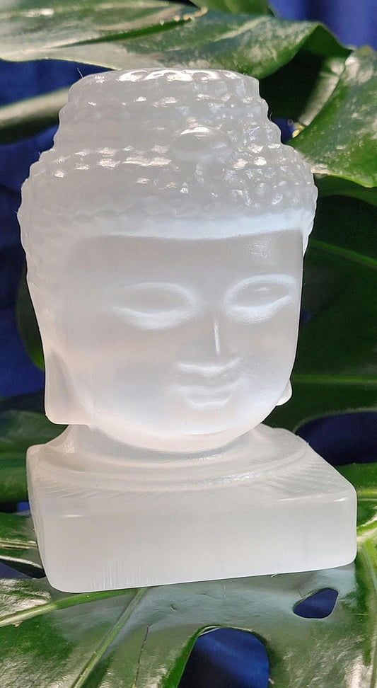 Selenite Buddha Head Crystal Carving|Space and Crystal Cleanser|Crystal Collector|Home Decor|Meditation|Gift ideas|Calming and Purifying