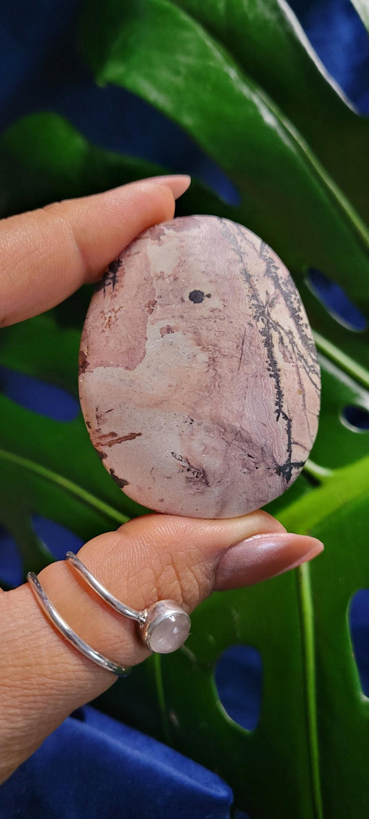 Picture Jasper Palm stone | Natural Landscapes of Art |Meditation Tool |Crystal Collector | Home Decor | Birthday Christmas Love Gift Ideas