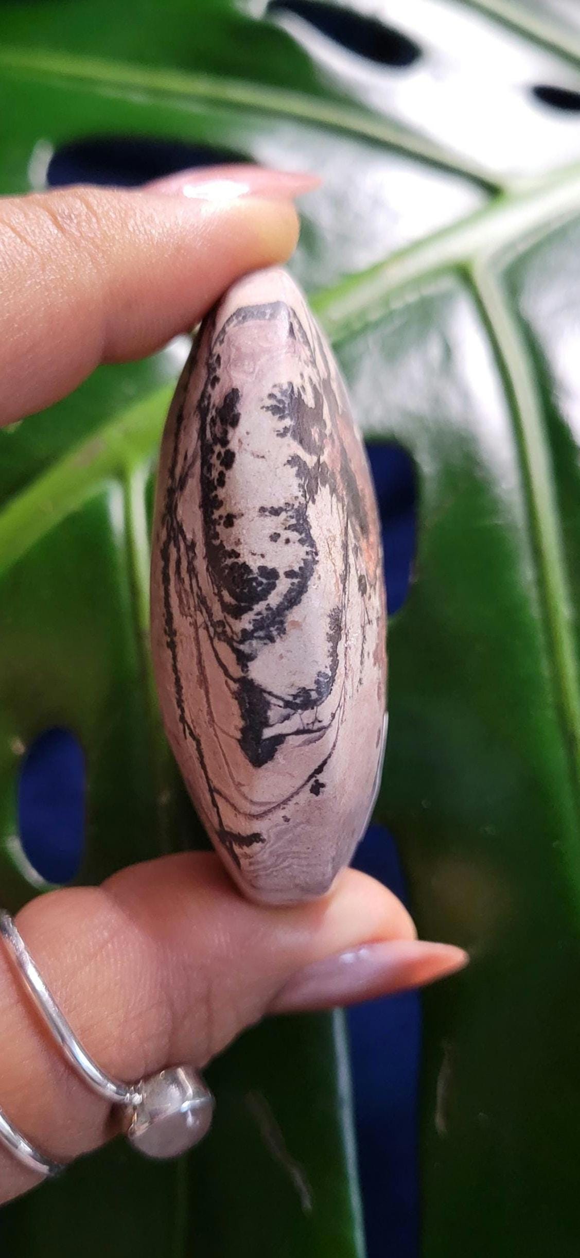 Picture Jasper Palm stone | Natural Landscapes of Art |Meditation Tool |Crystal Collector | Home Decor | Birthday Christmas Love Gift Ideas