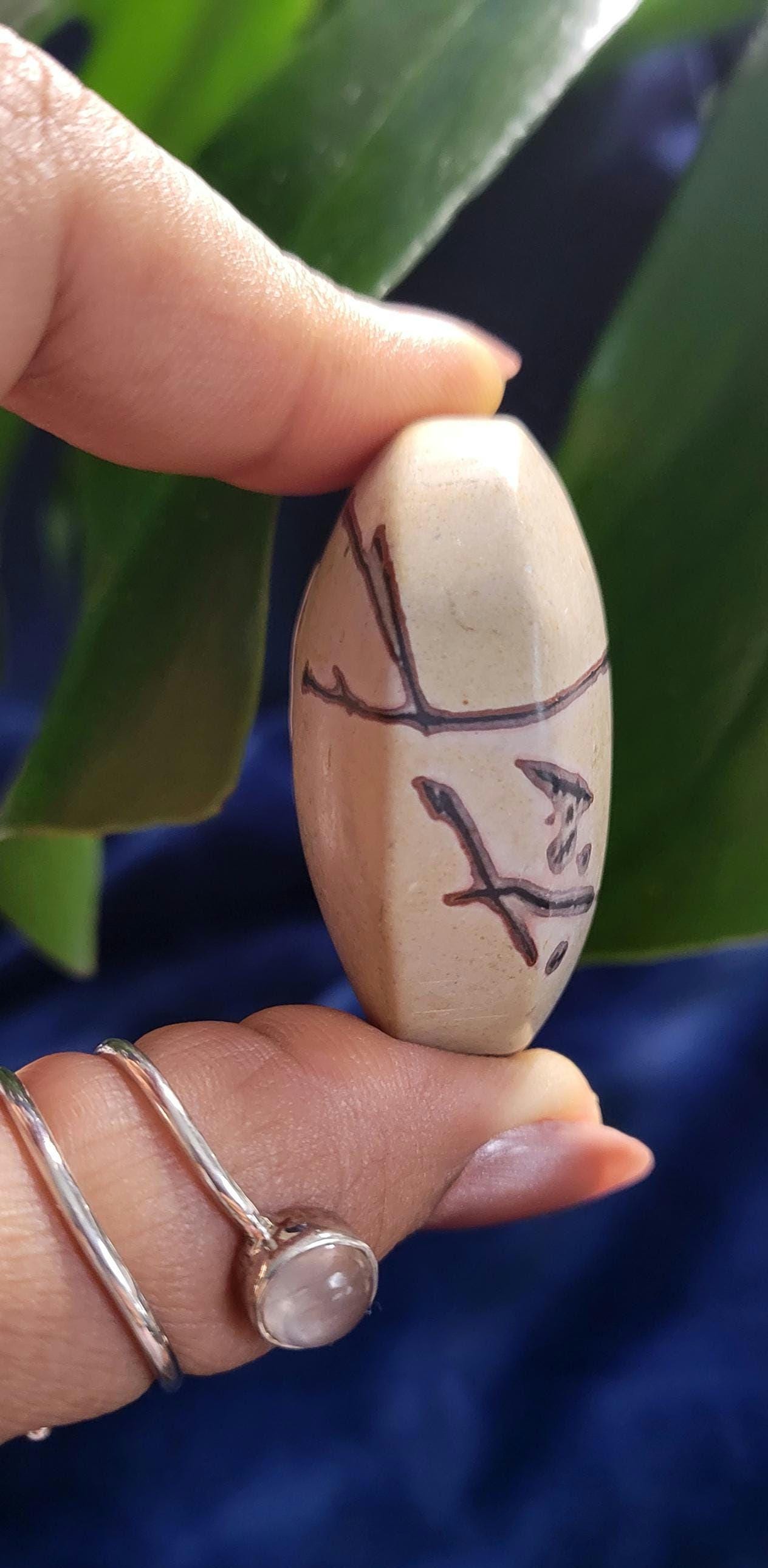 Picture Jasper Palm stone | Natural Landscapes of Art |Meditation Tool |Crystal Collector | Home Decor | Birthday Christmas Love Gift Ideas
