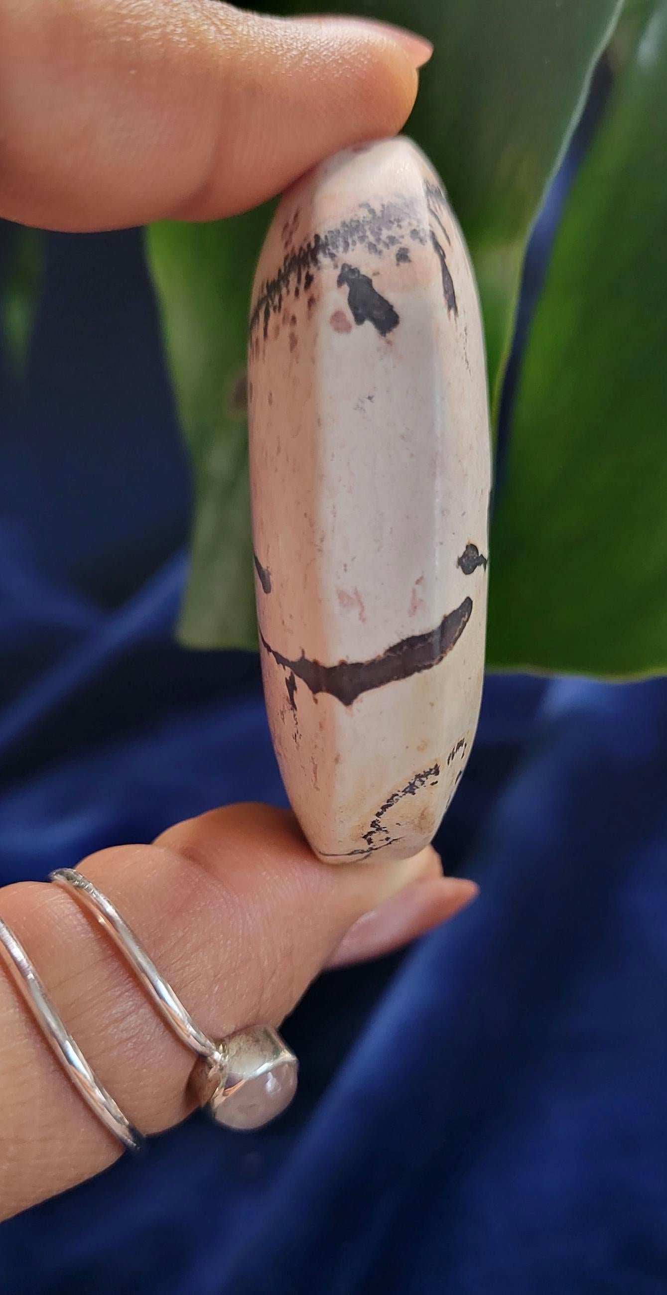 Picture Jasper Palm stone | Natural Landscapes of Art |Meditation Tool |Crystal Collector | Home Decor | Birthday Christmas Love Gift Ideas