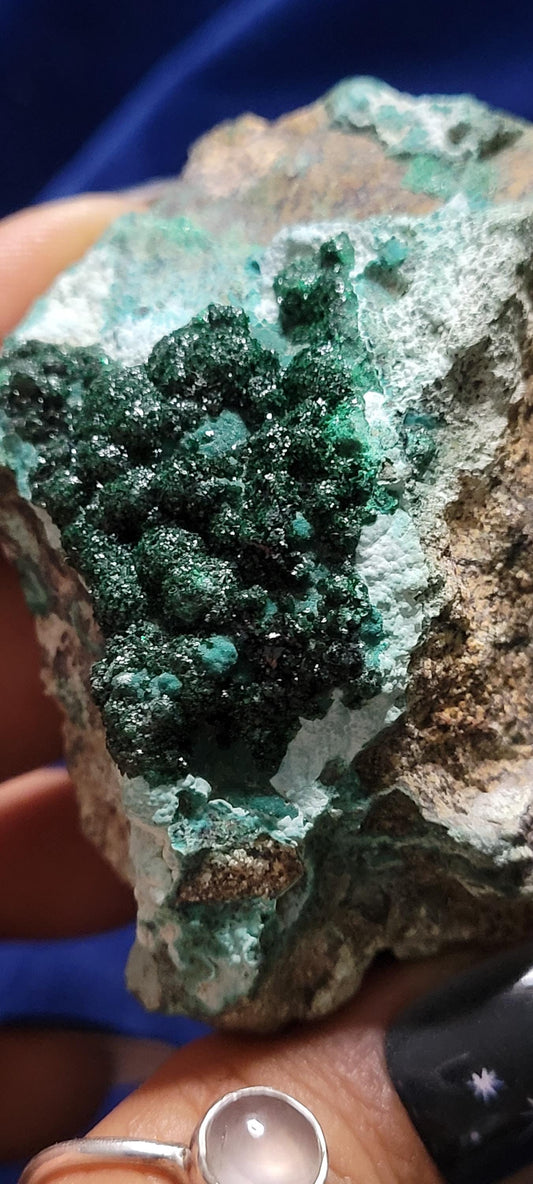 Malachite Chrysocolla 'Malacolla' Botryoidal Specimen from the DRC | Crystal Collector | Birthday Christmas Gift Ideas | Green Blue | 115g