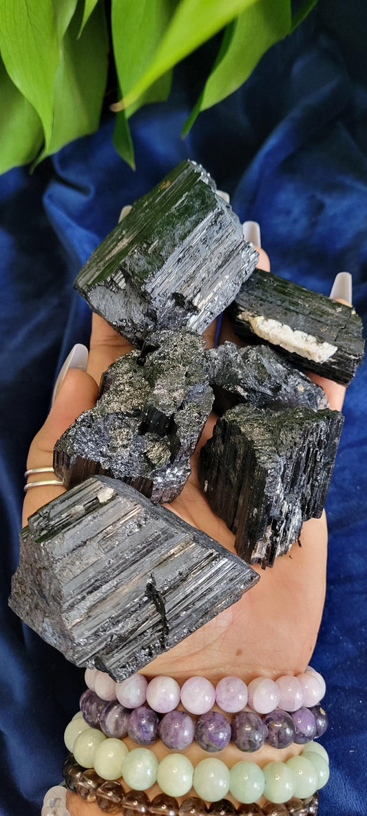 Shiny Natural Black Tourmaline with Quartz and Gold Mica | Birthday Anniversary Christmas Gift Ideas | Crystal Collector | Home Decor