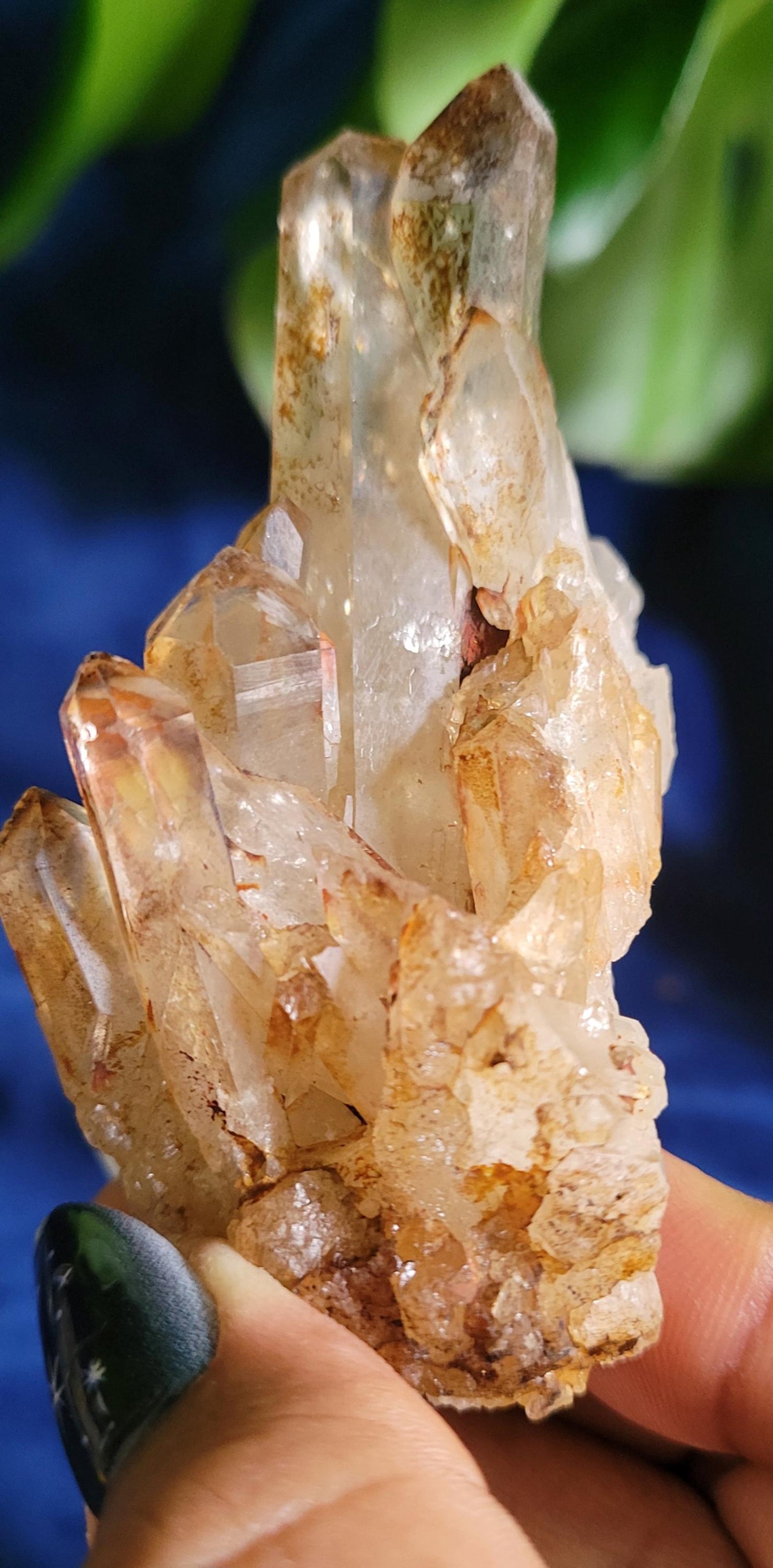 Natural Kundalini Citrine | Self-Standing Cluster from the Democratic Republic of Congo | Birthday Christmas Gift Ideas | Gold | Prosperity