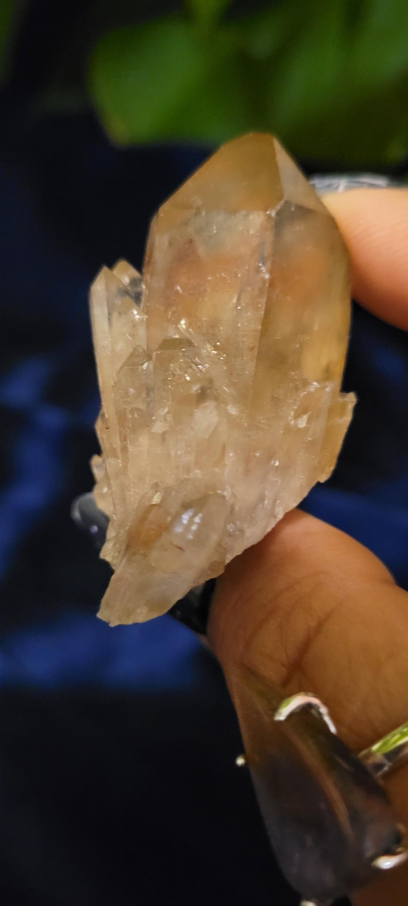 Natural Kundalini Citrine Clusters from the Democratic Republic of Congo | Your Pick | Birthday Christmas Gift Ideas | Gold | Prosperity