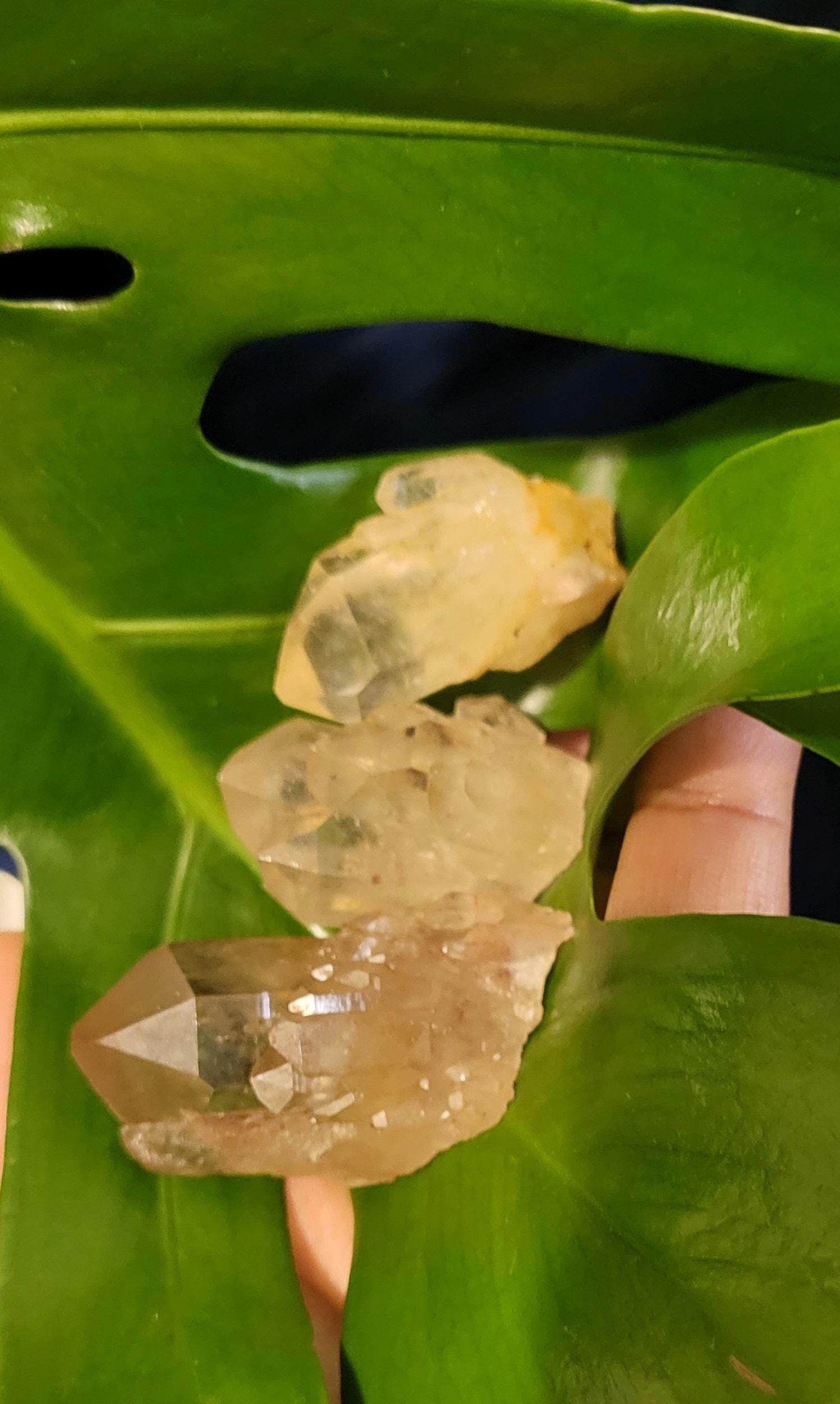 Natural Kundalini Citrine Clusters from the Democratic Republic of Congo | Your Pick | Birthday Christmas Gift Ideas | Gold | Prosperity