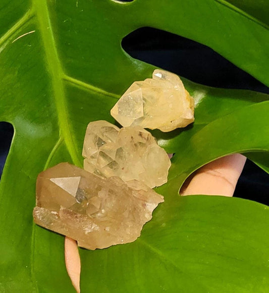 Natural Kundalini Citrine Clusters from the Democratic Republic of Congo | Your Pick | Birthday Christmas Gift Ideas | Gold | Prosperity