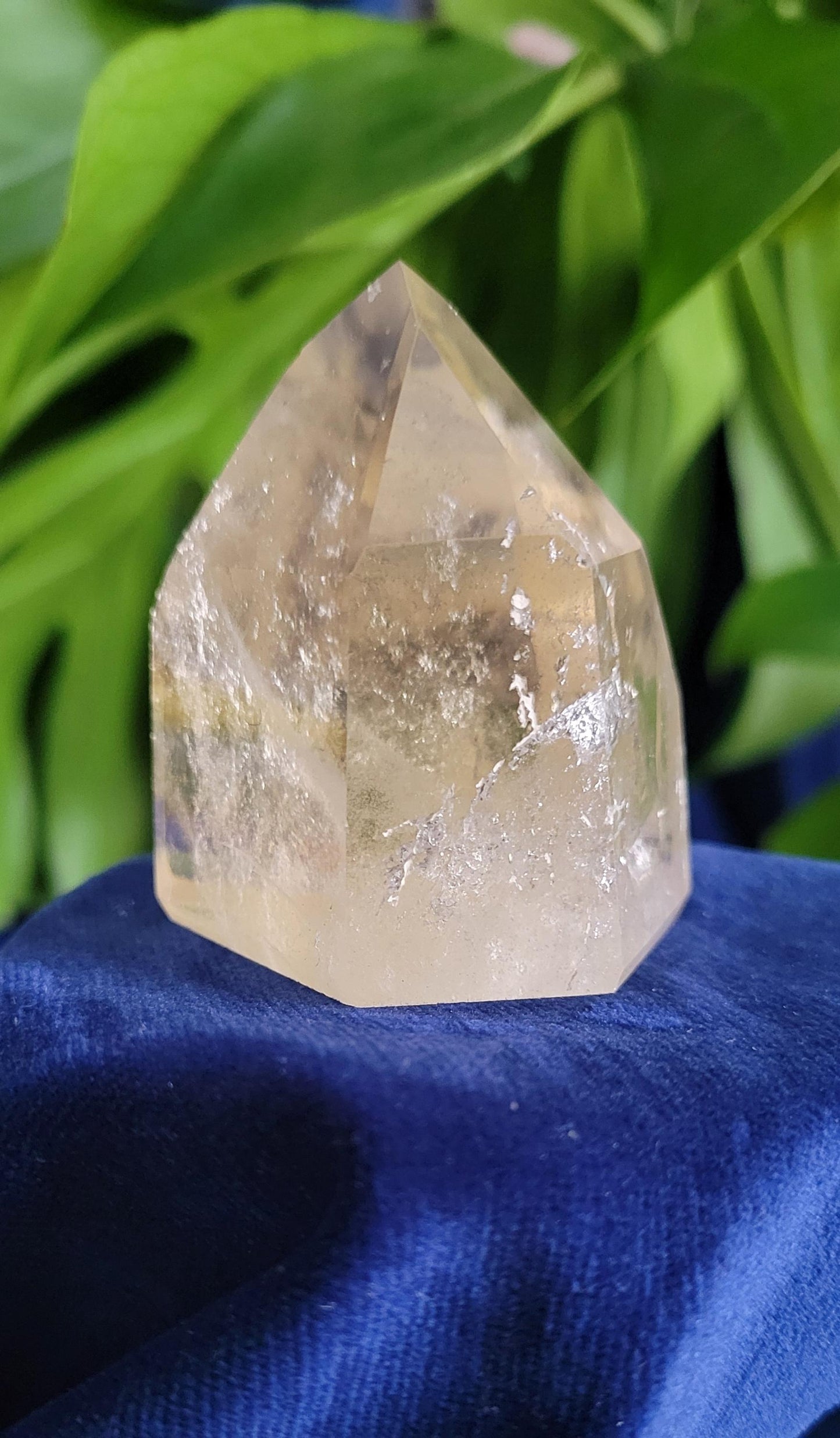 AAA Grade Natural Citrine Point with Rainbows from Brazil | Beautiful Polish | Birthday Christmas Gift Ideas | Champagne Gold | Prosperity