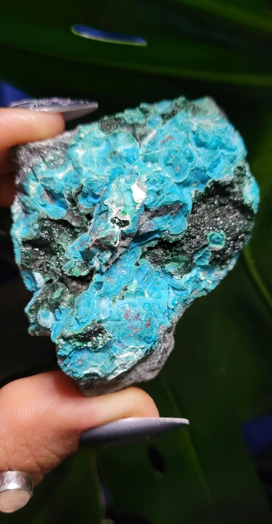 Malachite Chrysocolla 'Malacolla' Specimen from the DRC | Crystal Collector | Birthday Christmas Gift Ideas | Green Blue | 97g