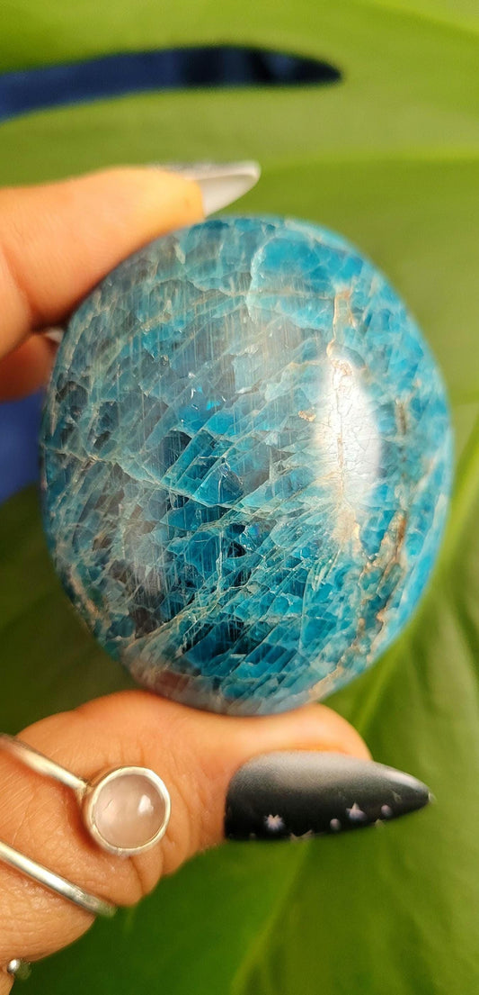 Apatite Palm Stones, Large | Your Pick | Meditation | Birthday Christmas Gift Ideas for you | Electric Blue | Third Eye Chakra