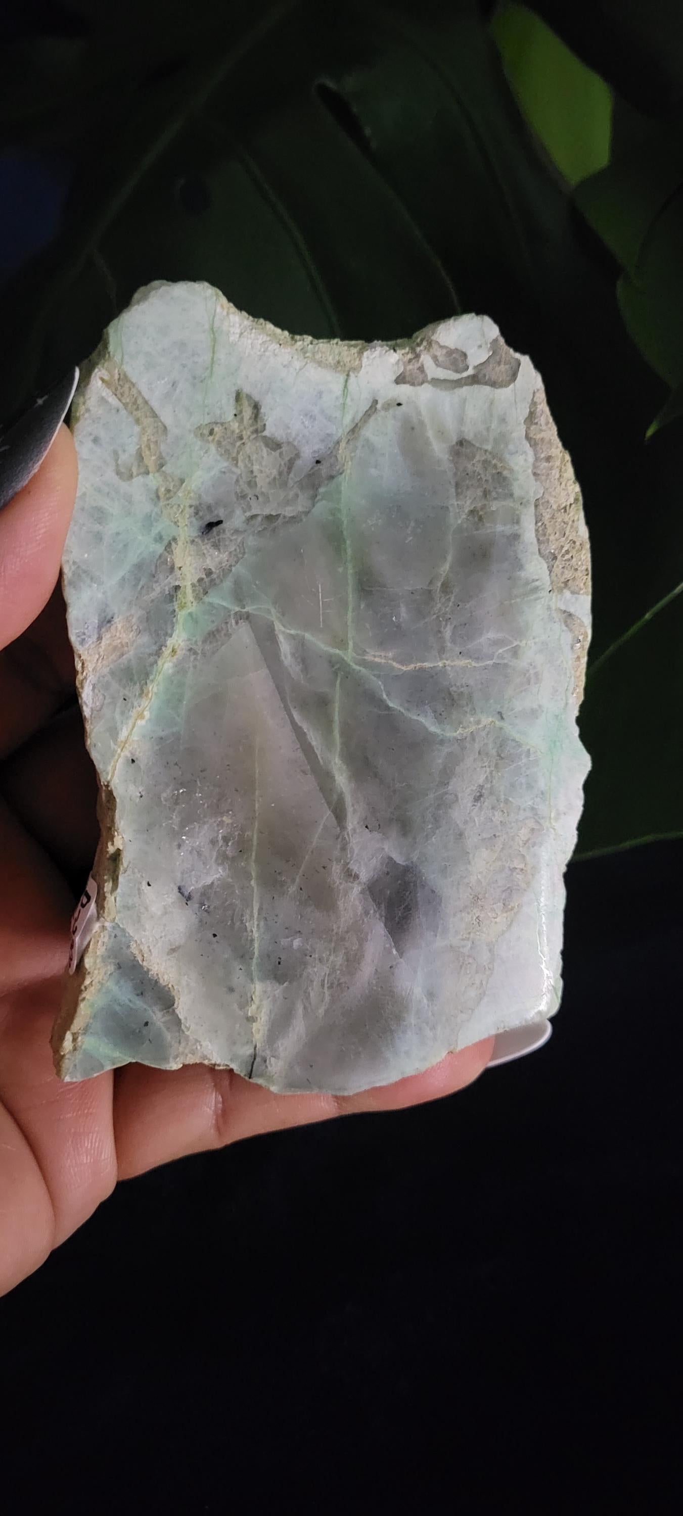 Green Moonstone - Garnierite | Double Sided Polished Slab | Crystal Collector | Home Decor | Birthday Christmas Gift | Green Gray White