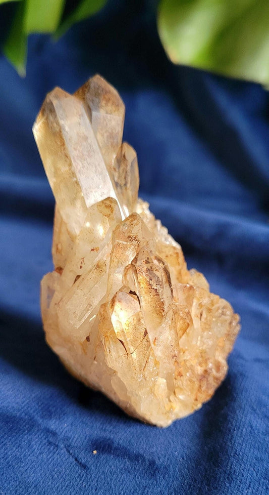 Natural Kundalini Citrine | Self-Standing Cluster from the Democratic Republic of Congo | Birthday Christmas Gift Ideas | Gold | Prosperity