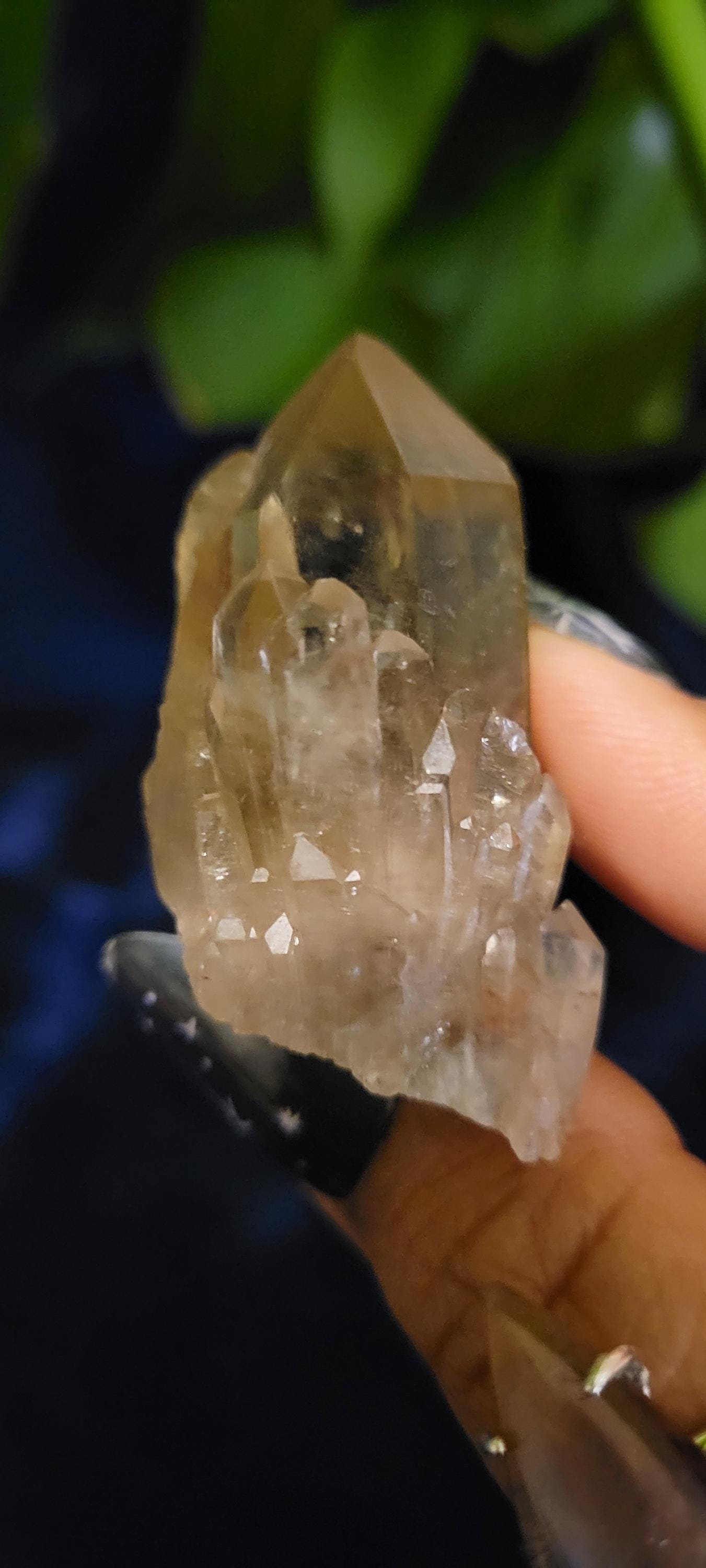 Natural Kundalini Citrine Clusters from the Democratic Republic of Congo | Your Pick | Birthday Christmas Gift Ideas | Gold | Prosperity