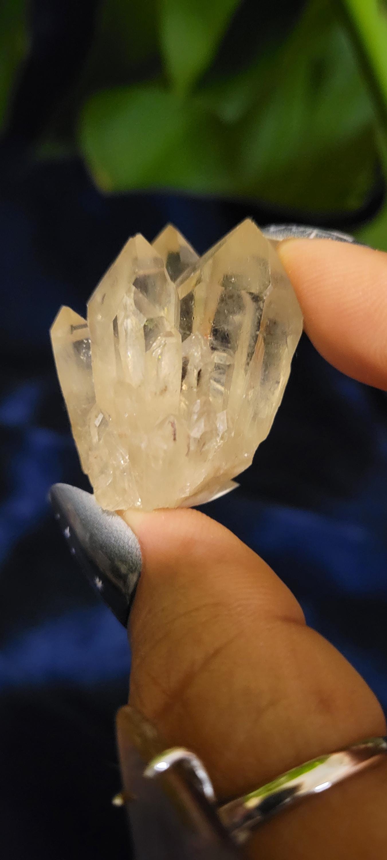 Natural Kundalini Citrine Clusters from the Democratic Republic of Congo | Your Pick | Birthday Christmas Gift Ideas | Gold | Prosperity