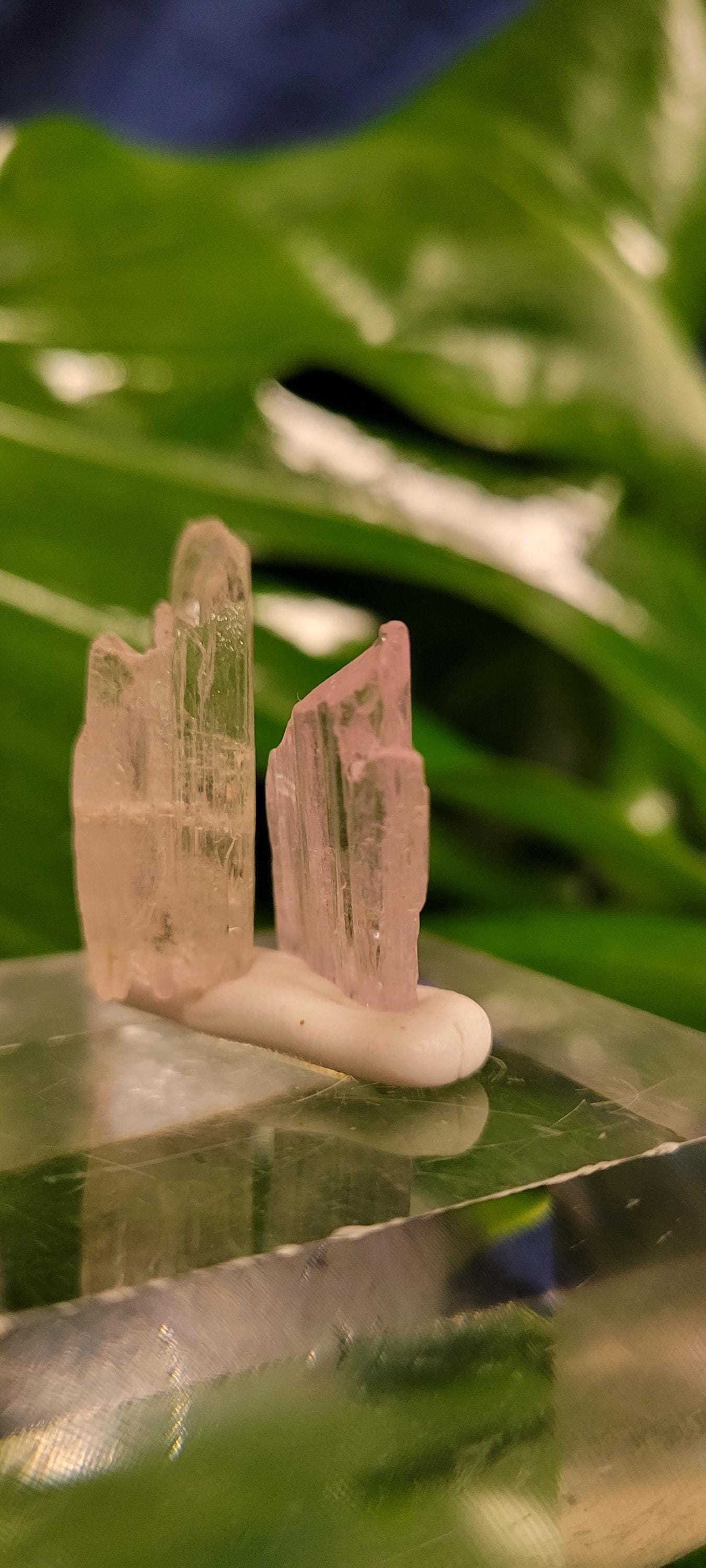 Etched & Translucent Gemmy Pink Kunzite | AAA Grade Crystal Specimen for Collectors | Heart Chakra | Love Gift Idea | Gorgeously Pink | 11g