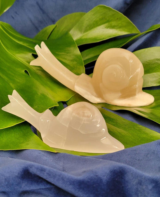 Snail Crystal Carvings | Collectors Home Decor | Gift Ideas | Grounding & Strength | Root Chakra | Handcarved White Onyx from Mexico
