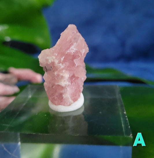 Rhodochrosite Specimens | Manifest Joy and Self-Love | Gifts for Crystal and Mineral Collectors | Hearth Chakra | Pastel Pink Love Gems
