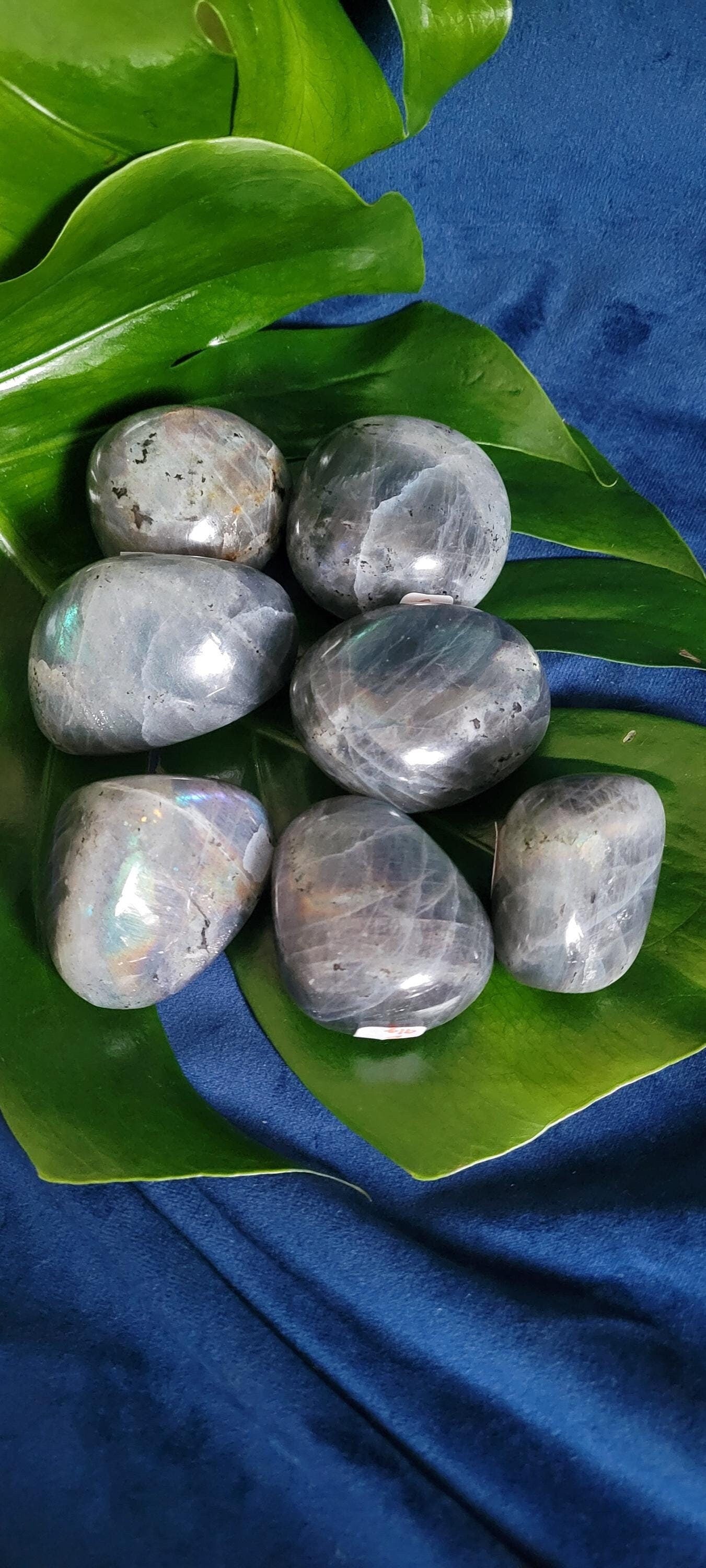 HQ Peacock/Rainbow Flash Labradorite Palmstones from Madagascar| Meditation Tool | Third Eye Chakra | Blue Teal Pink Purple Gold Chatoyancy