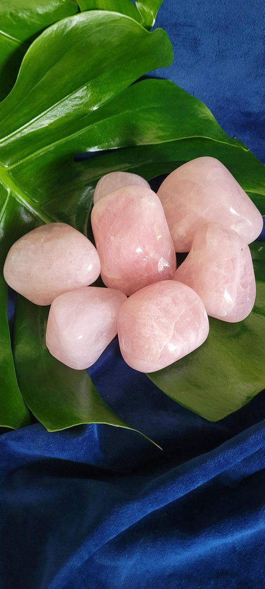 XL Rose Quartz Palmstones | Meditation Tool | Love Stone | Heart Chakra | Cute Home Decor | Gift Ideas for Crystal Collectors | Pastel Pink