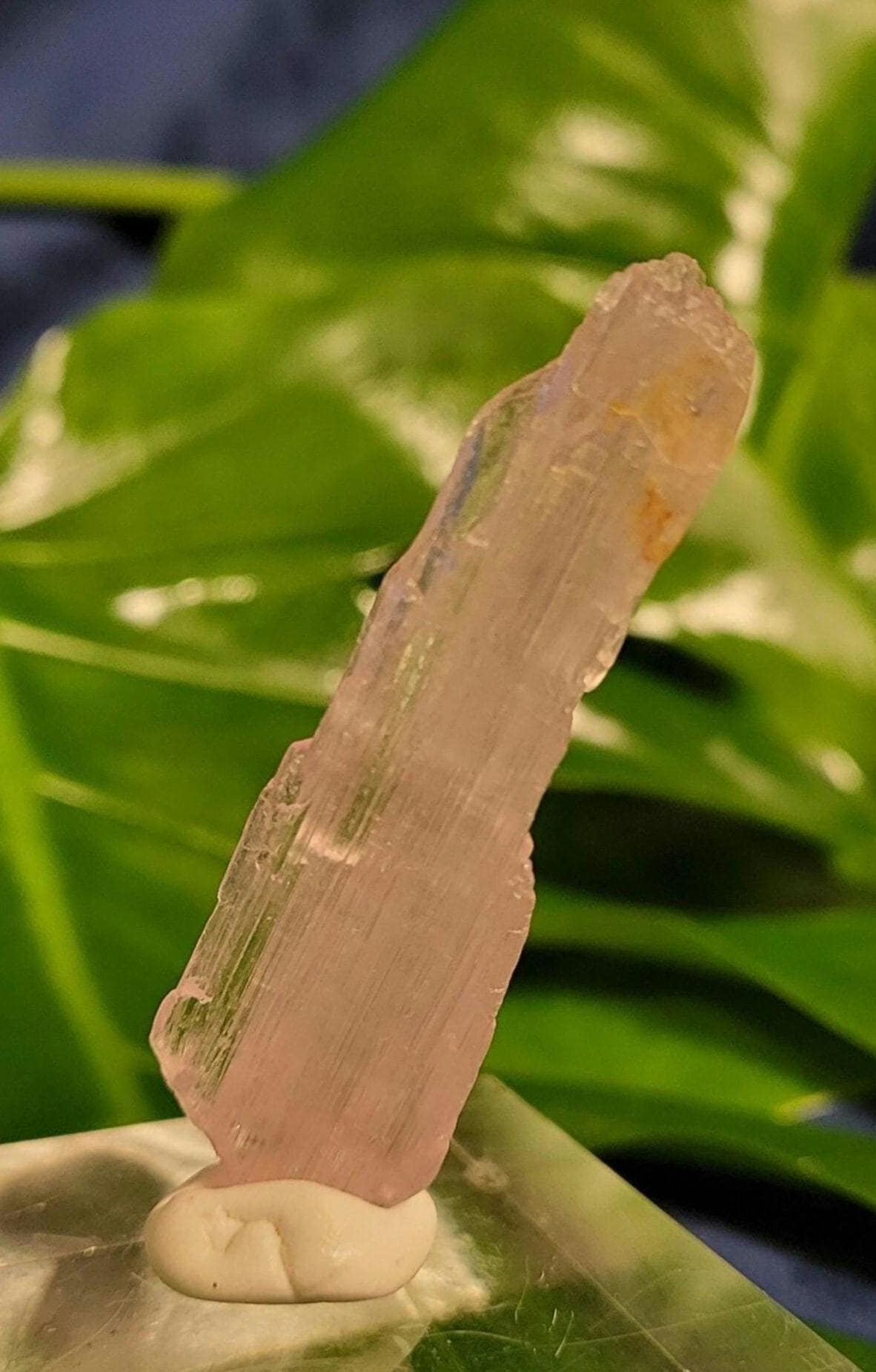 Etched & Translucent Gemmy Pink Kunzite | AAA Grade Crystal Specimen for Collectors | Heart Chakra | Love Gift Idea | Gorgeously Pink | 15g