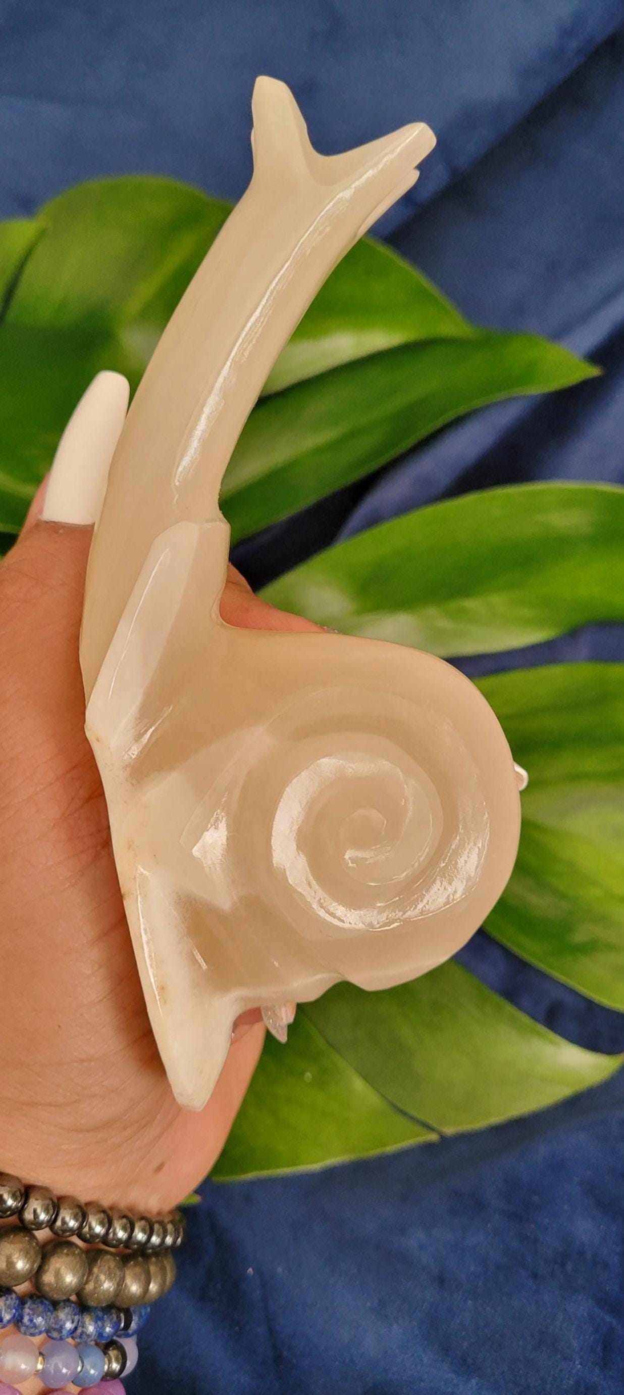 Snail Crystal Carvings | Collectors Home Decor | Gift Ideas | Grounding & Strength | Root Chakra | Handcarved White Onyx from Mexico