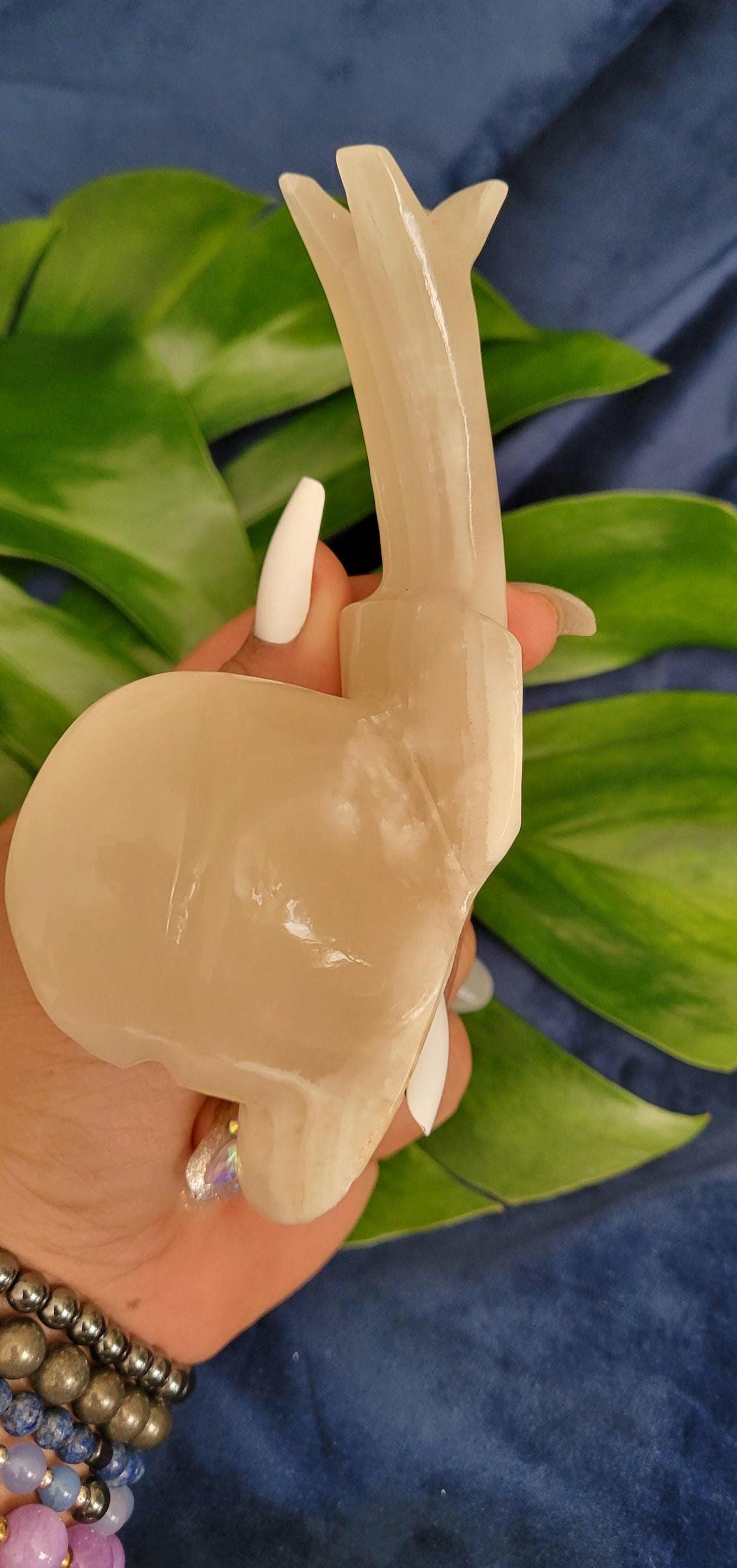 Snail Crystal Carvings | Collectors Home Decor | Gift Ideas | Grounding & Strength | Root Chakra | Handcarved White Onyx from Mexico