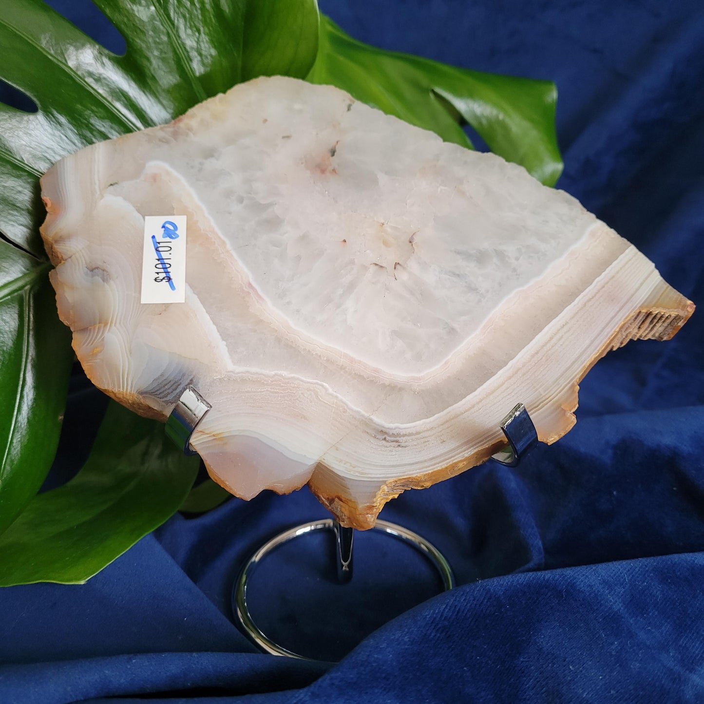 Dendritic Agate Slab with Stand | High Quality Quartz Crystal and Beautiful Banding | Crystal Collector | Love Gift | Harmony & Balance 540g