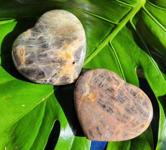 Black Moonstone | Puffy Heart Carvings | Crystal Collector | Home Decor | Birthday Valentines Day Love Gift | Crown Chakra | 175g & 228g