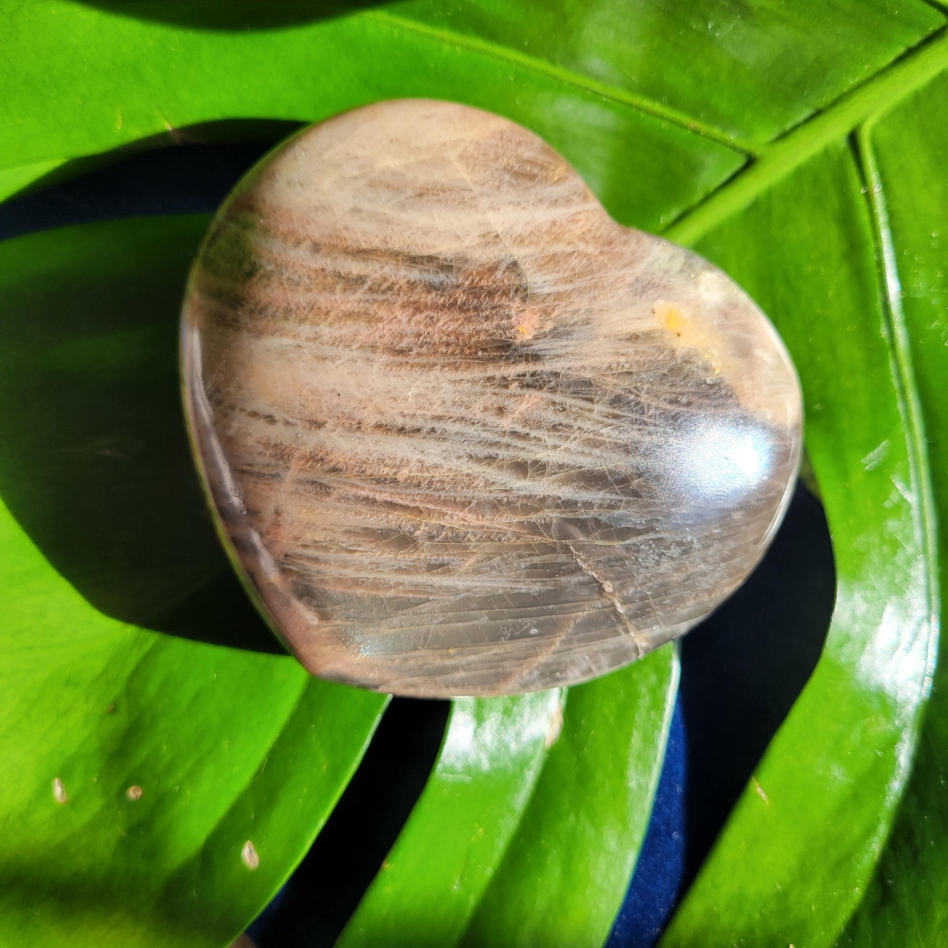 Black Moonstone | Puffy Heart Carving with Stand | Crystal Collector | Home Decor | Birthday Valentines Day Love Gift | Crown Chakra | 348g