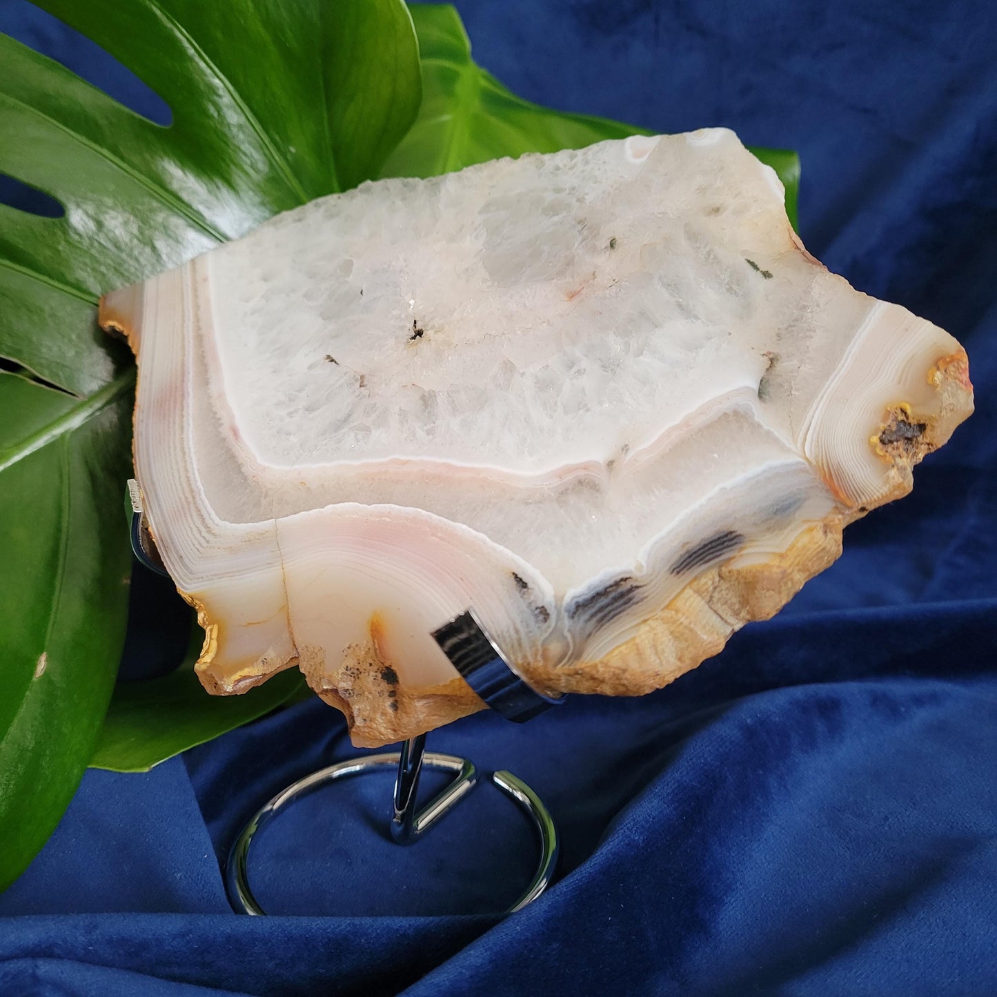Dendritic Agate Slab with Stand | High Quality Quartz Crystal and Beautiful Banding | Crystal Collector | Love Gift | Harmony & Balance 540g