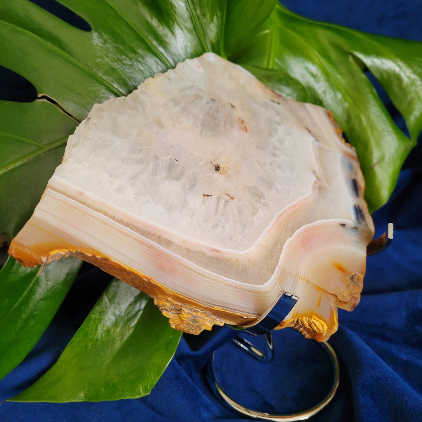 Dendritic Agate Slab with Stand | High Quality Quartz Crystal and Beautiful Banding | Crystal Collector | Love Gift | Harmony & Balance 540g