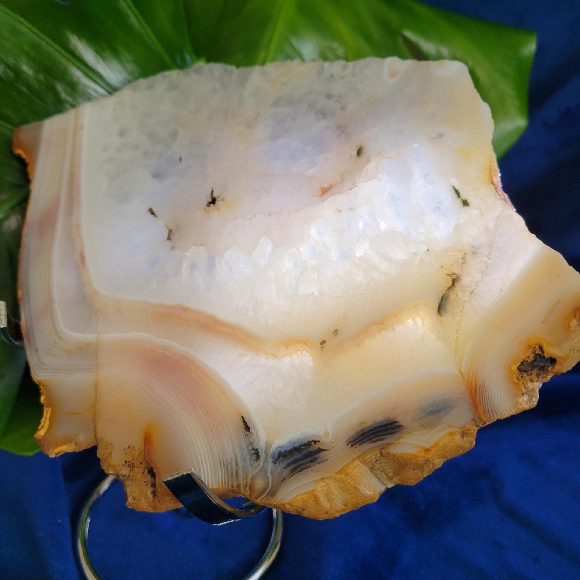 Dendritic Agate Slab with Stand | High Quality Quartz Crystal and Beautiful Banding | Crystal Collector | Love Gift | Harmony & Balance 540g