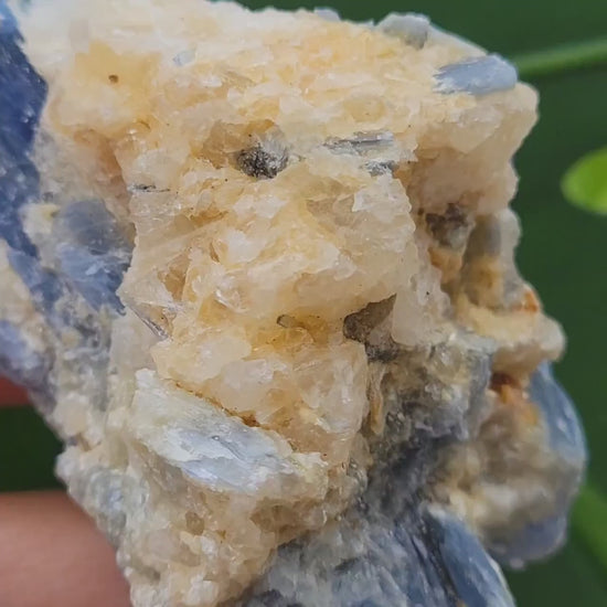 Kyanite & Quartz Crystal - Raw Natural Mineral Specimen - Home Decor - Crystal Collector - Gift