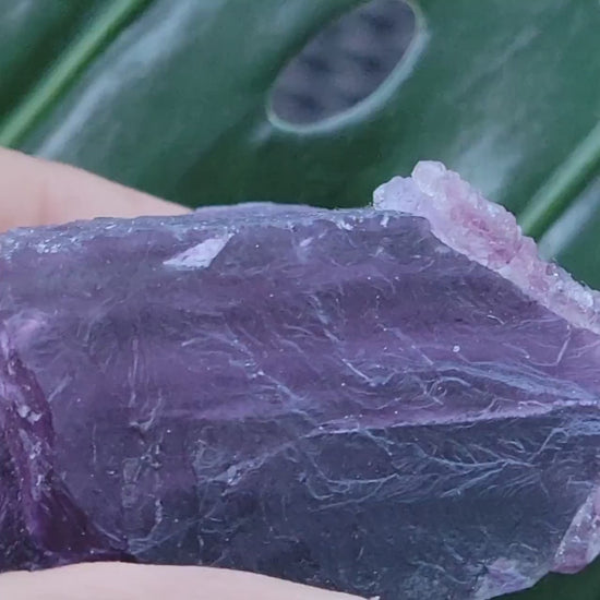 Beautiful Fluorite Specimen | Bicolor Purple and Lavender | Crystal Collector|Home Decor | Birthday Christmas Love Gift Ideas | Genius Stone
