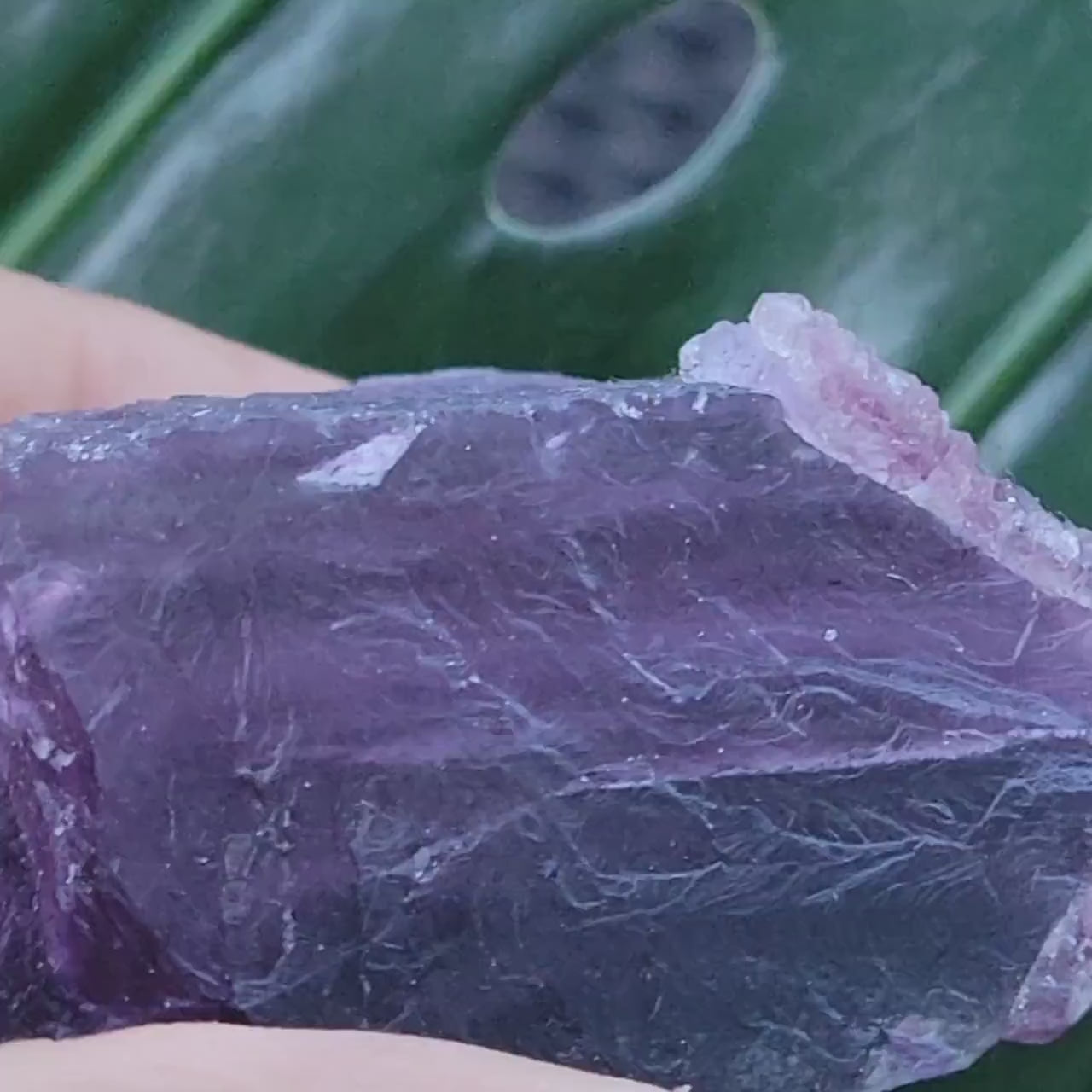 Beautiful Fluorite Specimen | Bicolor Purple and Lavender | Crystal Collector|Home Decor | Birthday Christmas Love Gift Ideas | Genius Stone
