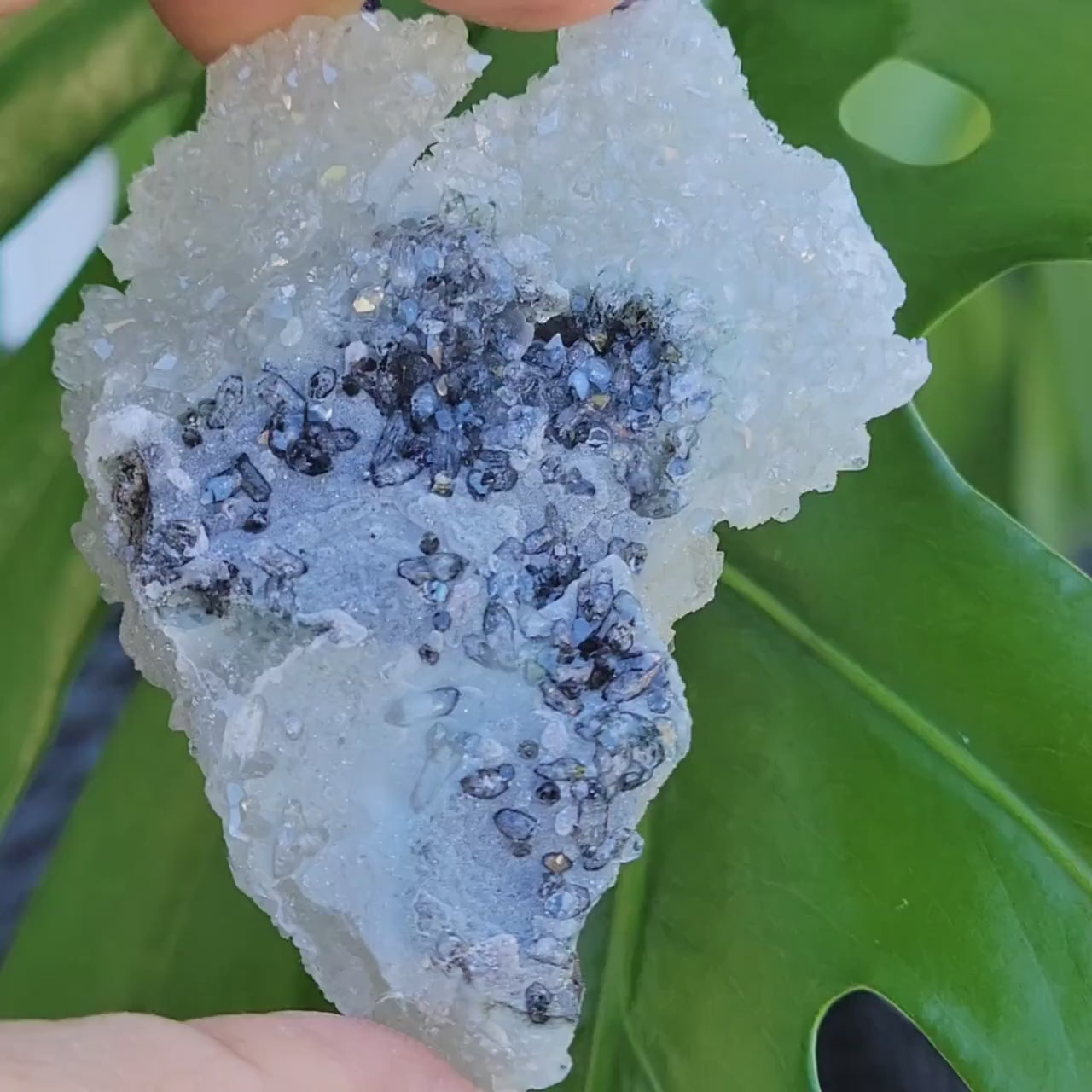 Gorgeous HQ Diamond Apophyllite on Blue Chalcedony - India - Crystal Specimen - Crystal Collector - Home Decor - Gift