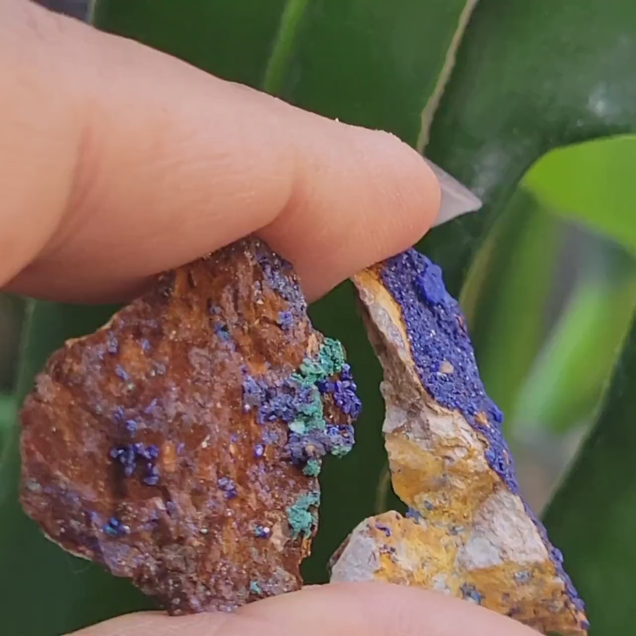 Malachite and Azurite Specimen in Display Case-Collector Birthday Christmas Gift Ideas-Strength and Abundance Energy-Green-30g