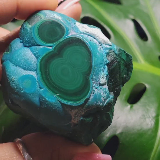 Malachite and Chrysocolla Specimen| Crystal Collector Piece|Birthday Christmas Gift Ideas|Strength and Abundance Energy|Green and Blue|291g