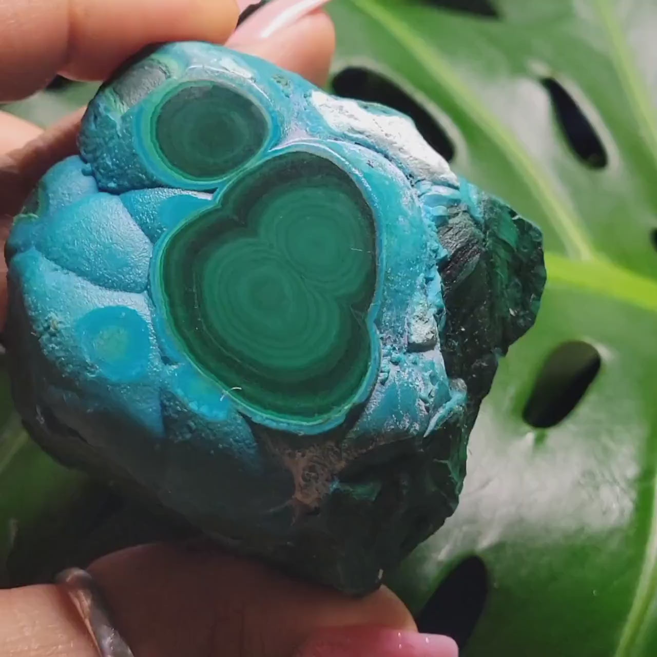 Malachite and Chrysocolla Specimen| Crystal Collector Piece|Birthday Christmas Gift Ideas|Strength and Abundance Energy|Green and Blue|291g