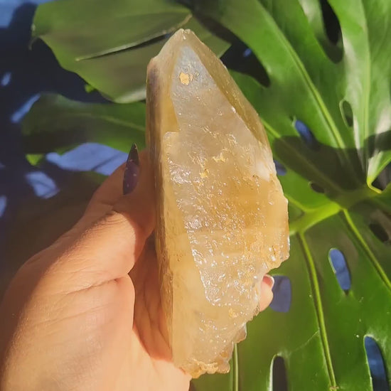 Dogtooth Calcite | Stunning Raw Specimen | Crystal Collectors | Home Decor | Gift | Golden & Gray | 743g / 1.7lbs | Solar Plexus Chakra