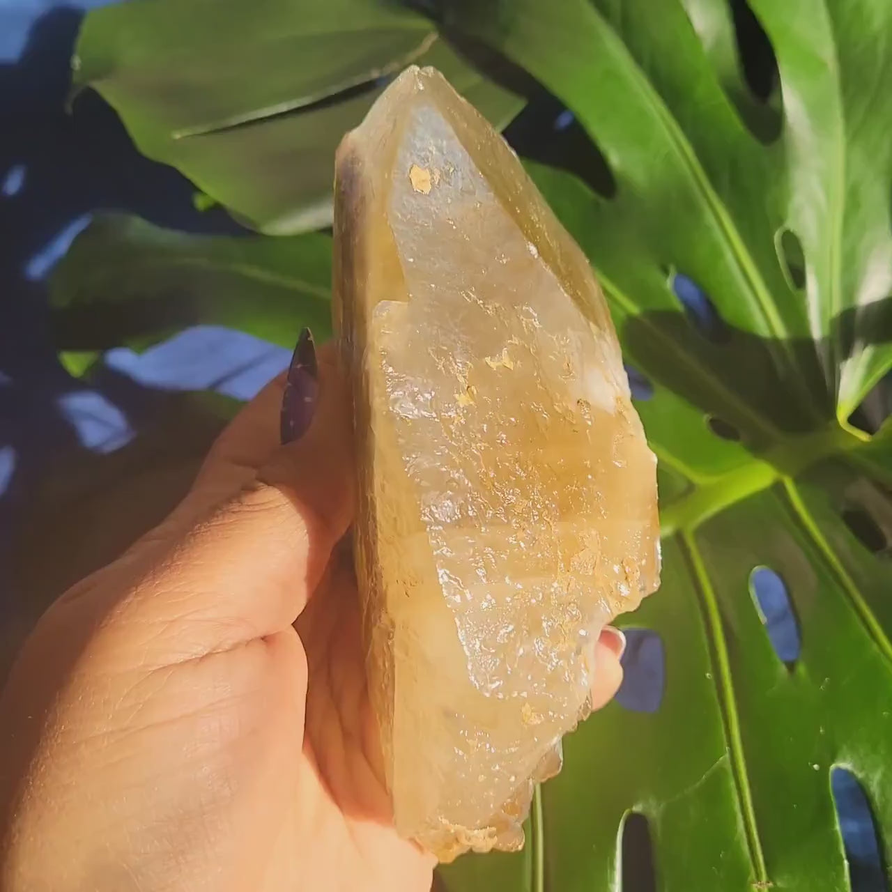 Dogtooth Calcite | Stunning Raw Specimen | Crystal Collectors | Home Decor | Gift | Golden & Gray | 743g / 1.7lbs | Solar Plexus Chakra