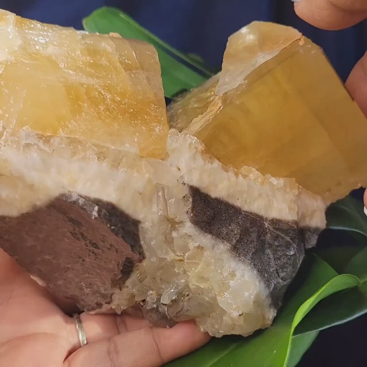 Stunning and Unique Dogtooth Calcite Specimen from Morocco - Crystal Collectors piece - Home Decor - Gift idea - Gorgeously Golden - 3.3lbs
